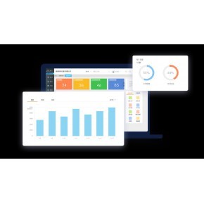 廈門軟件開發怎么建設公司小程序網站seo網絡推廣是干嘛的