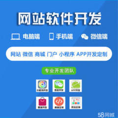 漳州軟件開發(fā)