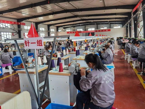 現實版 山海情 廈門唯一上榜集體 國家級殊榮